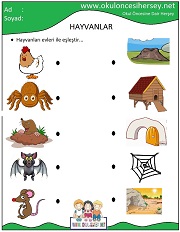 Hayvanları Evleri İle Eşleştir